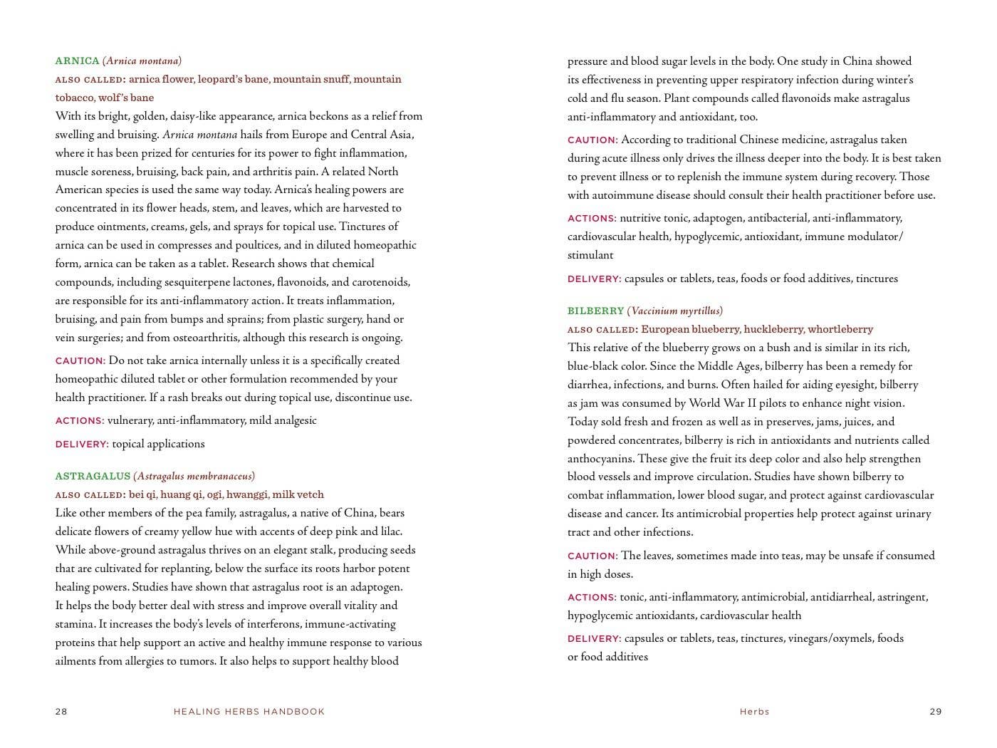 Healing Herbs Handbook: Recipes for Natural Living