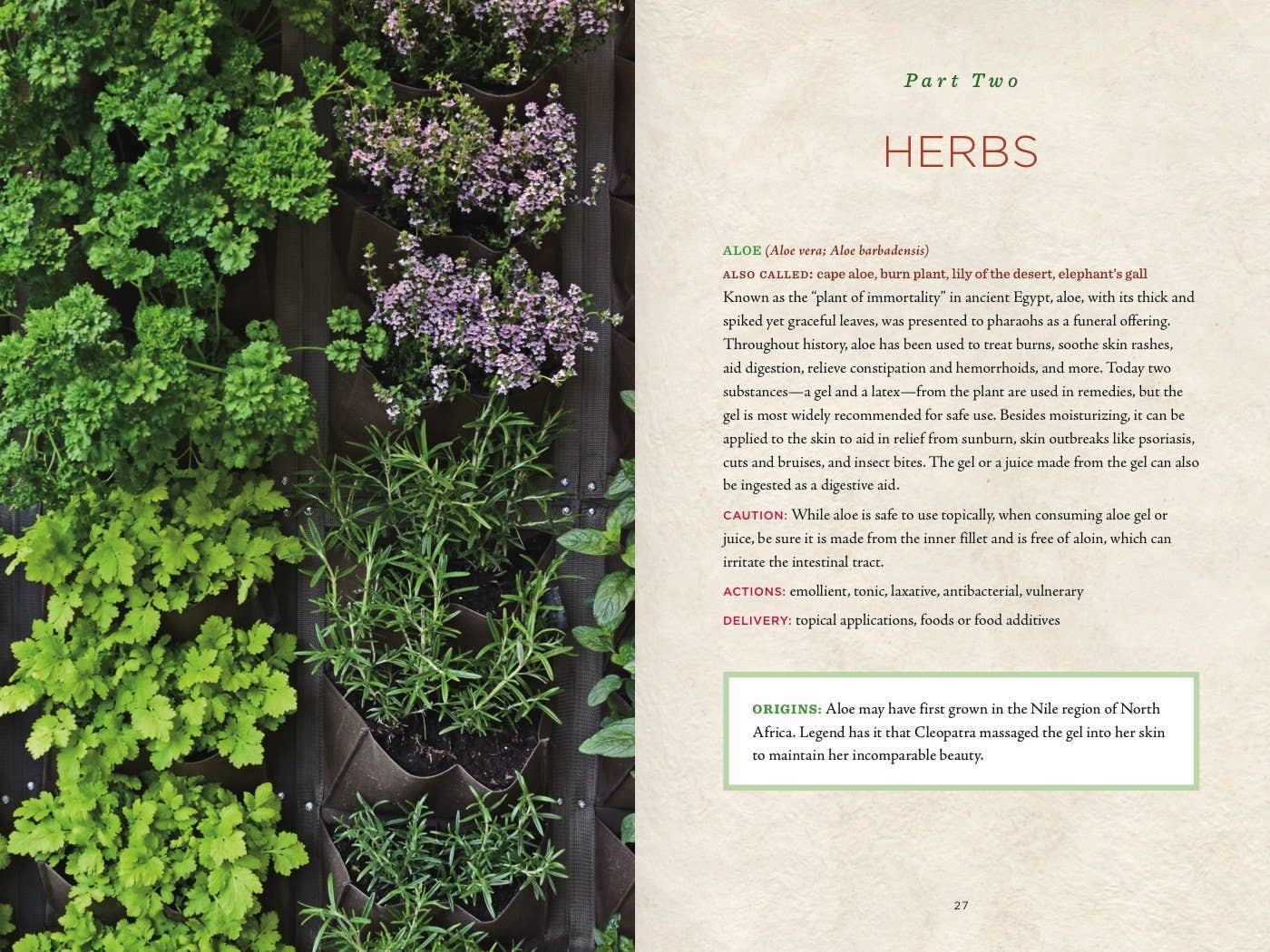Healing Herbs Handbook: Recipes for Natural Living