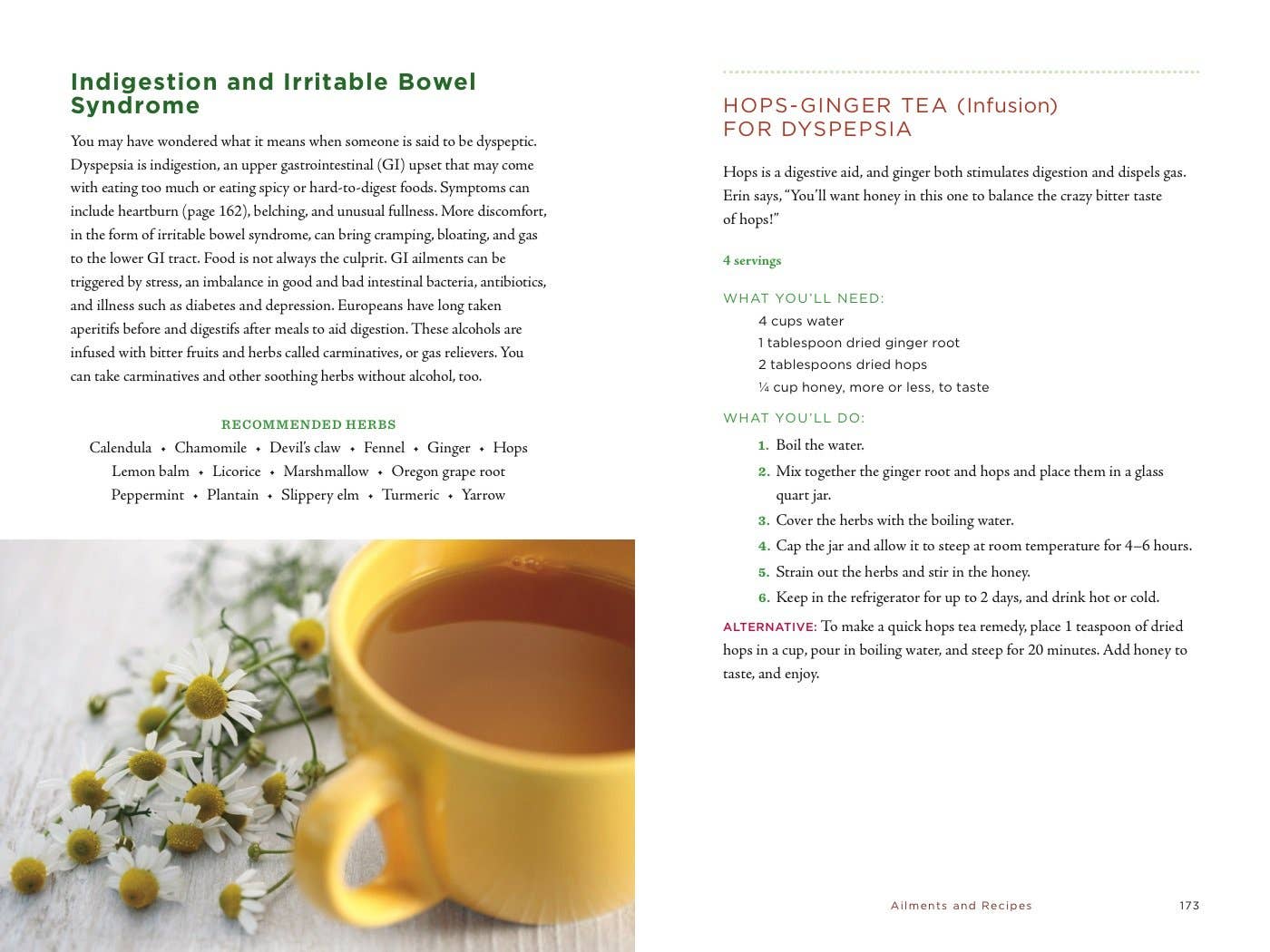 Healing Herbs Handbook: Recipes for Natural Living