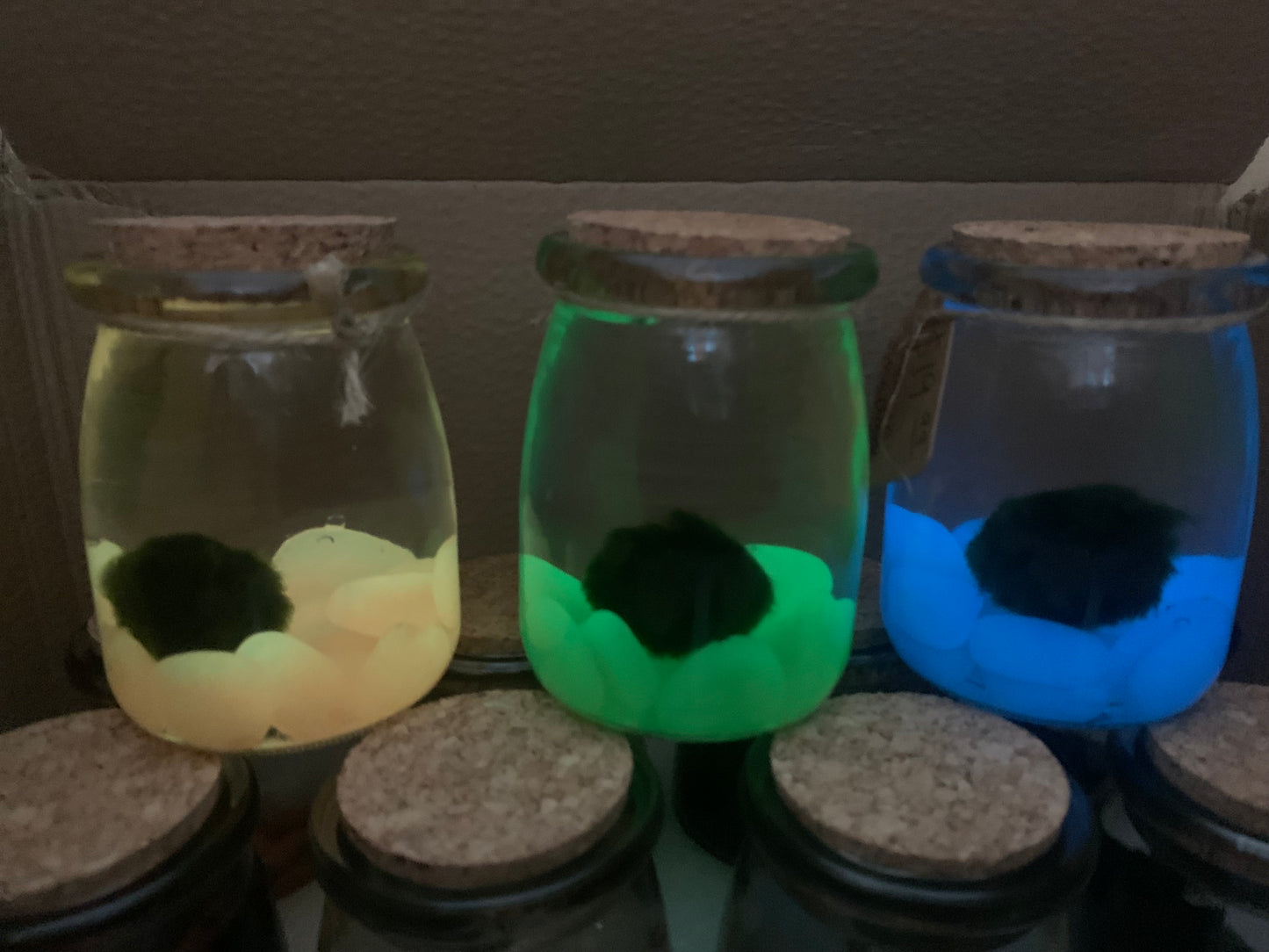 Glow in the dark Compadre