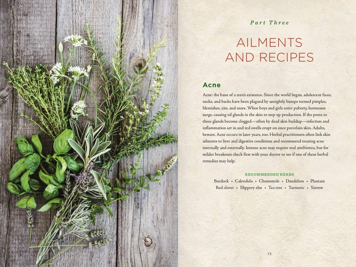 Healing Herbs Handbook: Recipes for Natural Living