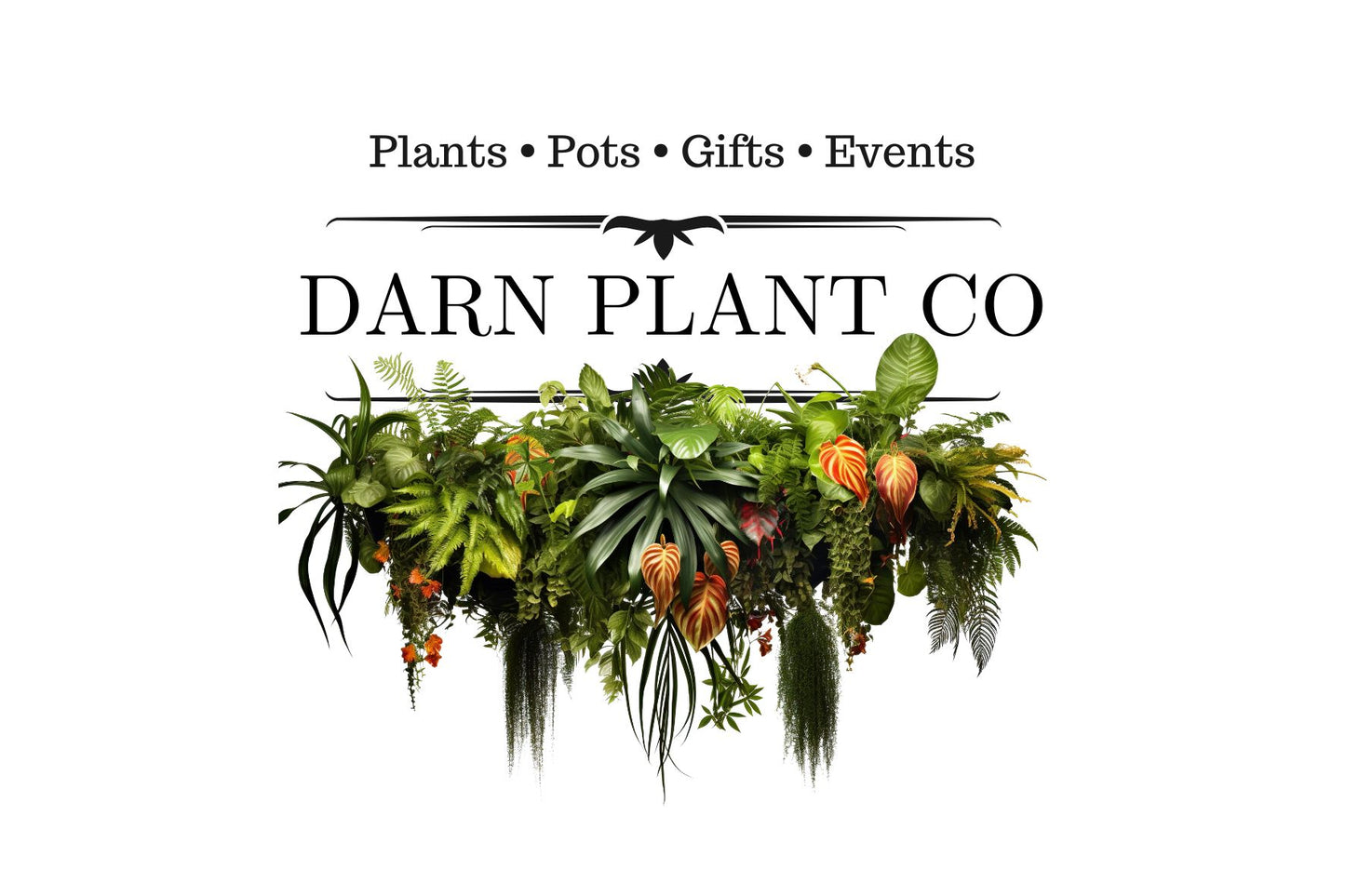 DARN Plant Co Gift Card