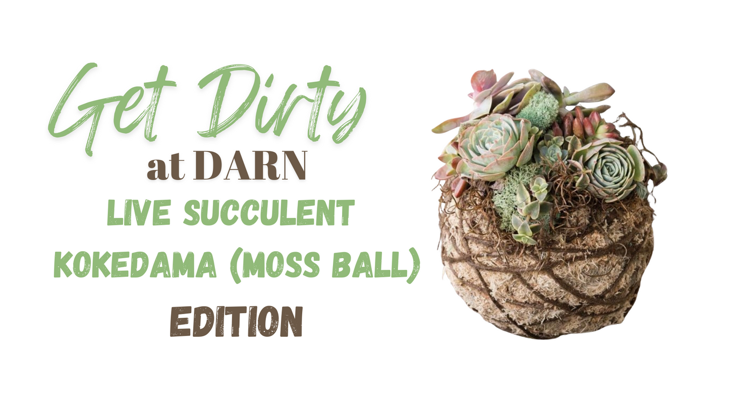 Live Succulent Kokedama  09/19/24  @6pm