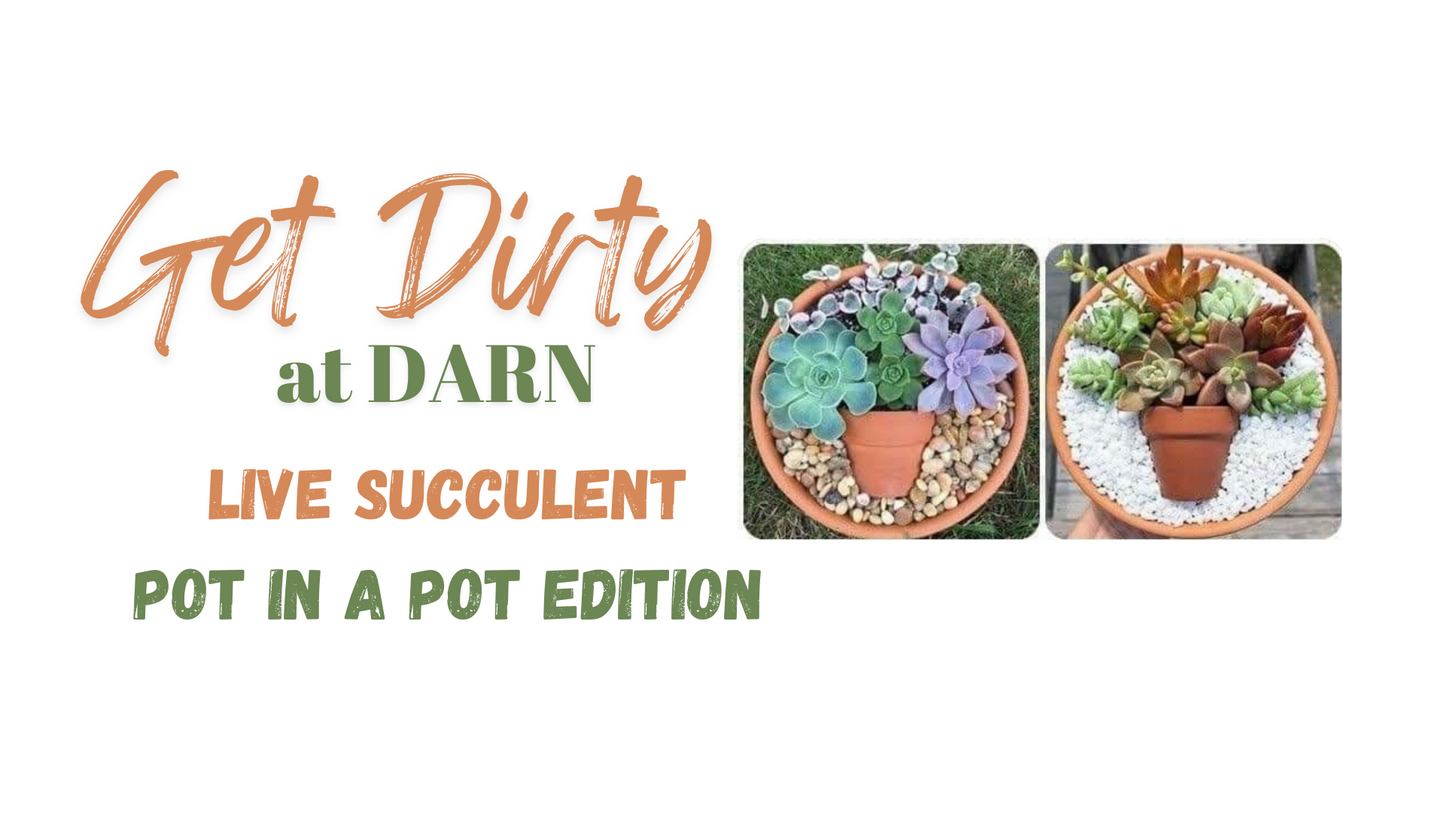 Live Succulent Pot in a Pot  09/05/24  @6pm