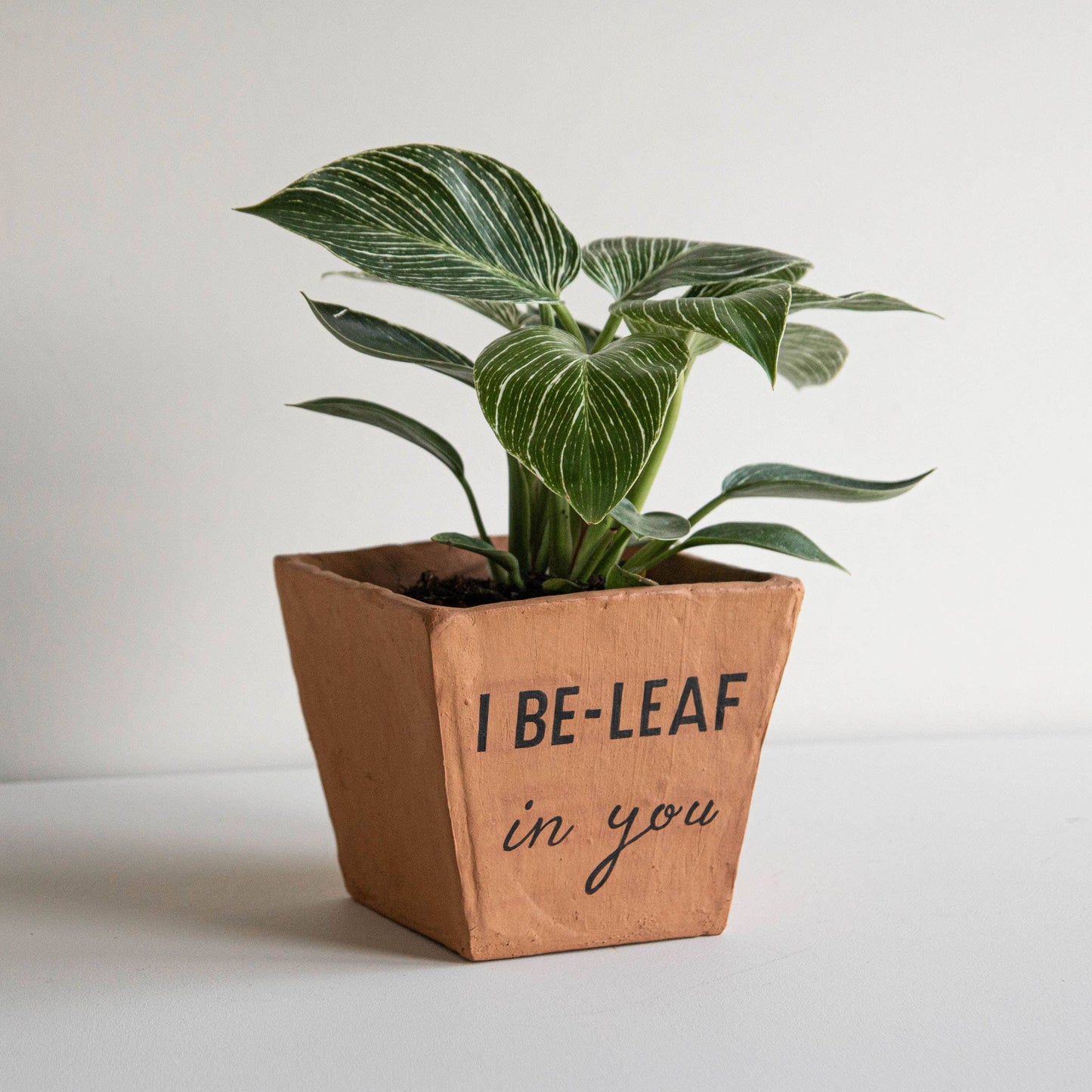 I Be-Leaf in You Terracotta Planter